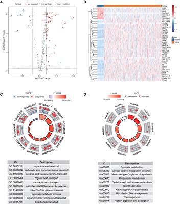 Development and Validation of Lactate Metabolism-Related lncRNA Signature as a Prognostic Model for Lung Adenocarcinoma